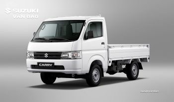 Suzuki Carry Pro 9 tạ full